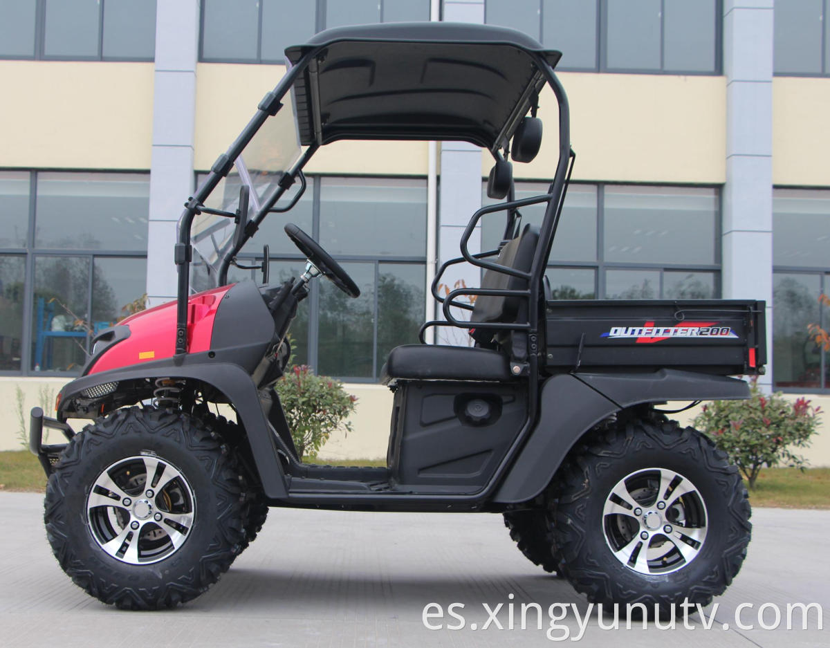 2020 Venta caliente Hot High y baja velocidad EFI 200cc UTV con EPA para adultos